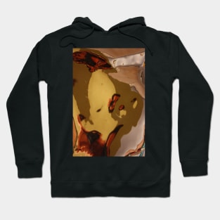 Reflections I Hoodie